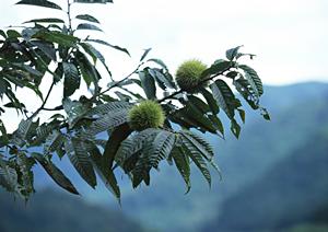 またリピートしたくなるホストクラブ