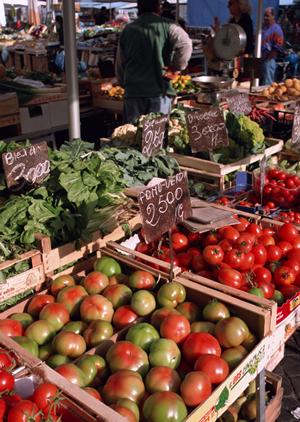 大阪の夜を彩る輝かしいホストクラブの魅力とは？