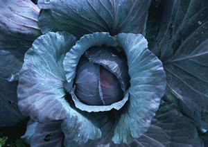 初めての錦のナイトワークは不安になる